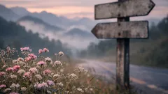 หนีกรุงเทพฯ ไปพบพระ ตาก หน้าหนาวกับสวนดอกไม้บ้านไร่อุ่นรัก ฟีลสวรรค์บนดิน